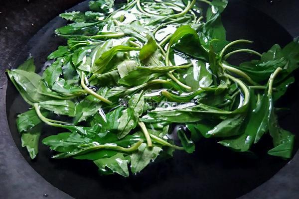 凉拌马兰头的做法图解2