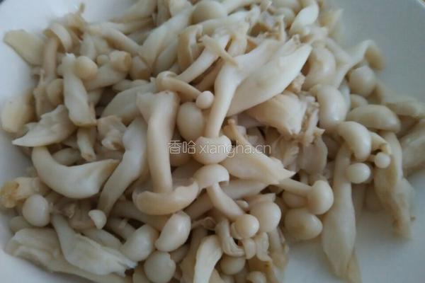 为减肥加油 低油脂冬瓜菜的做法图解1