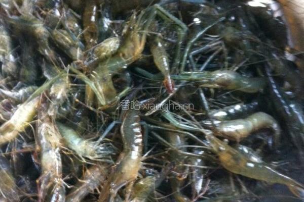 酱油籽虾的做法图解1
