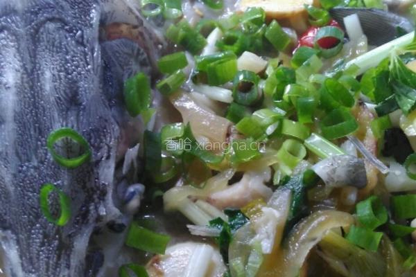 酸菜鲟鱼。