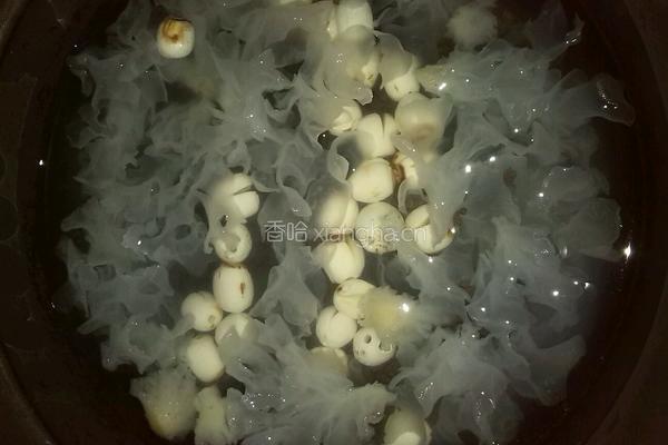 银耳莲子羹的做法图解4