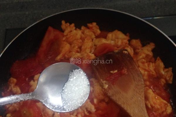 番茄炒鸡蛋的做法图解6