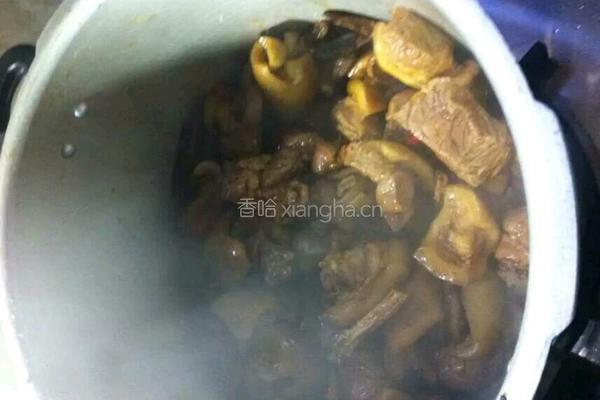 红烧土豆牛腩的做法图解5
