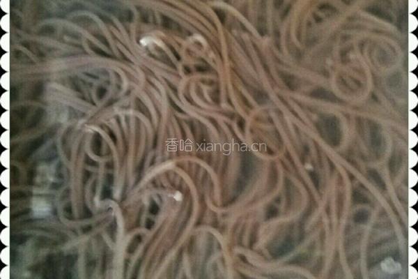 冷面的做法图解7