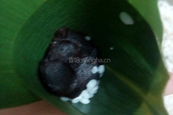 豆沙糯米粽的做法图解9