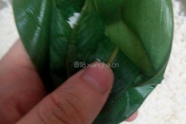 豆沙糯米粽的做法图解11