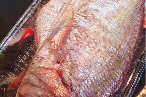 干烧鯛魚的做法图解1