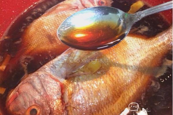 干烧鯛魚的做法图解6