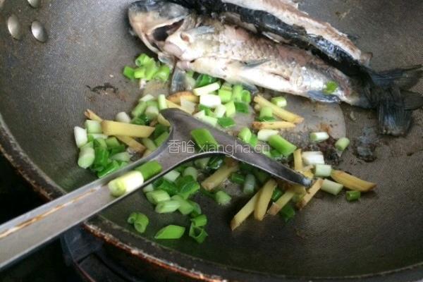 鲫鱼豆腐汤的做法图解3