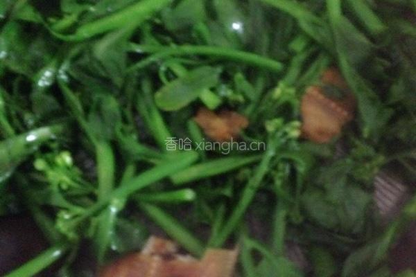 鱼干芥蓝的做法图解5