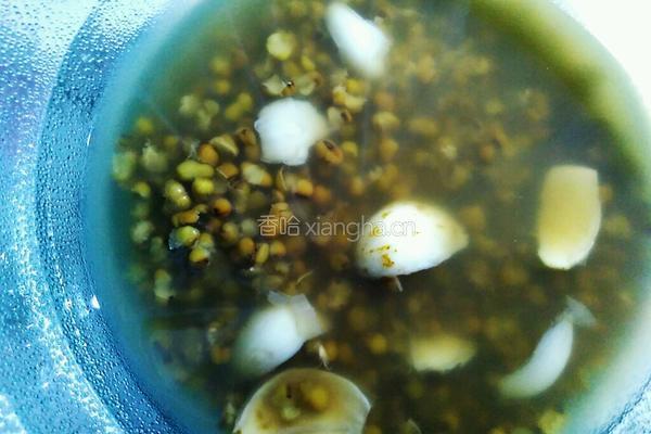 绿豆汤的做法图解5