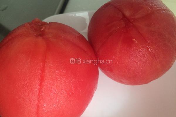 西红柿炖牛腩的做法图解7