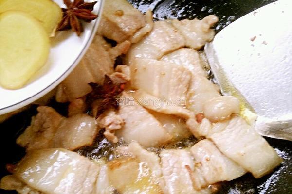 酸菜猪肉炖粉条的做法图解7