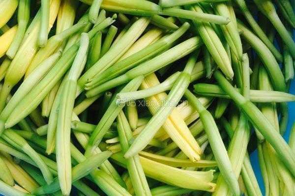 凉拌黄花菜的做法图解1