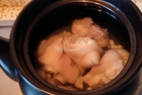 桃仁猪蹄汤的做法图解4