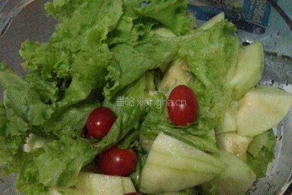 水果蔬菜沙拉的做法图解4