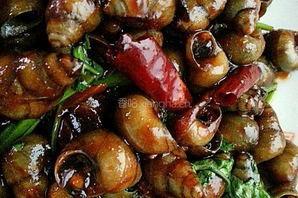 爆炒田螺的做法图解8