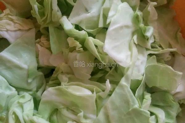 糖醋卷心菜的做法图解1