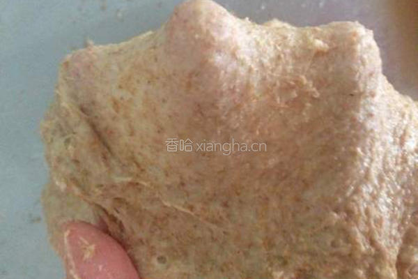 百分百全麦核桃面包的做法图解1