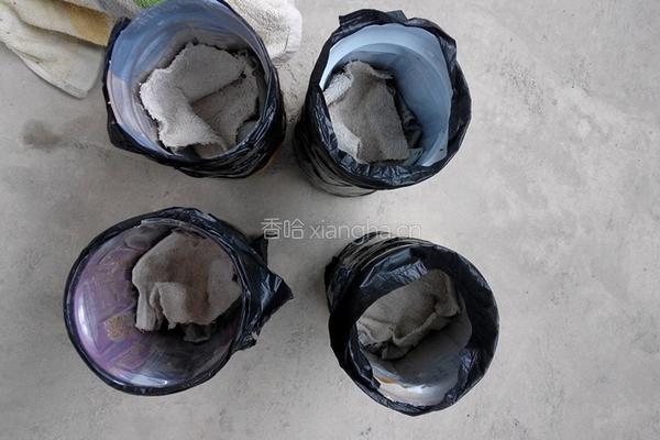 自制黄豆芽（饮料瓶）的做法图解5