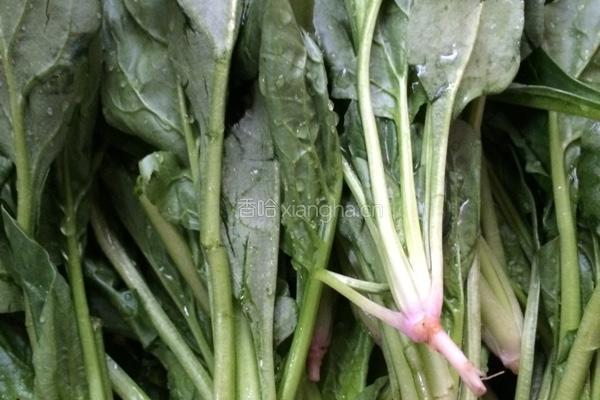 素炒菠菜的做法图解1