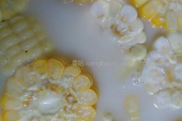 牛奶玉米汤的做法图解2