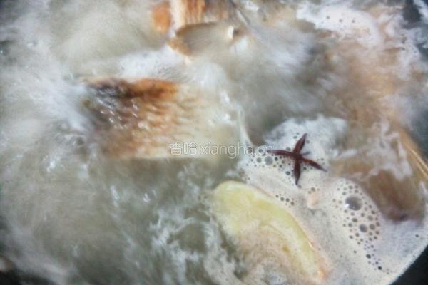 鲫鱼炖豆腐的做法图解4