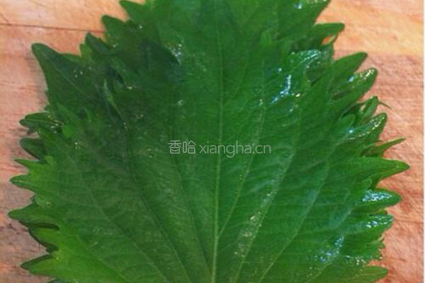 味噌鸡肉淋茄子的做法图解10