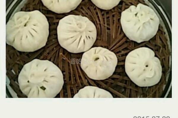 凉粉韭菜馅包子的做法图解9