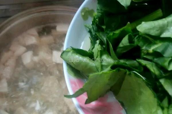 菠菜豆腐汤的做法图解7