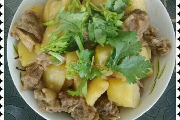 筋头炖土豆的做法图解14