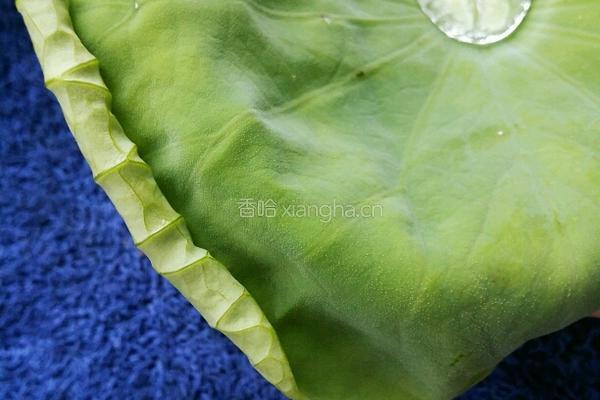 荷叶肉卷的做法图解1