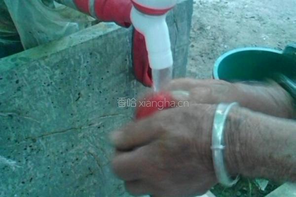 白糖西红柿的做法图解1