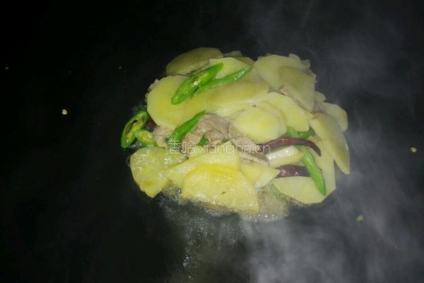 瘦肉土豆片的做法图解10