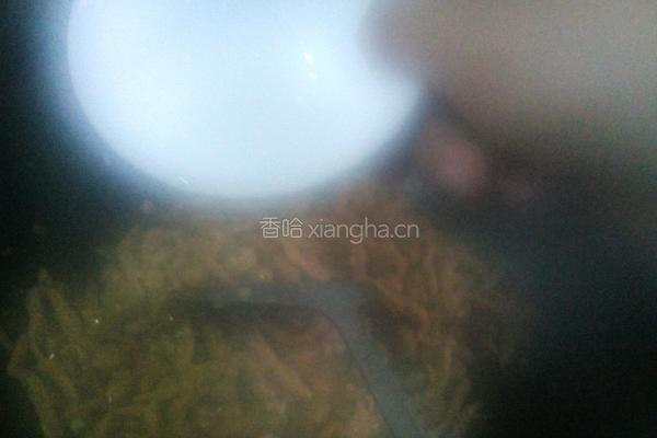 小炒里脊花生的做法图解10