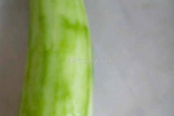 消脂减肥最佳选择--清炒节瓜的做法图解2