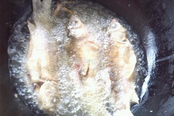 豆瓣鲫鱼的做法图解3