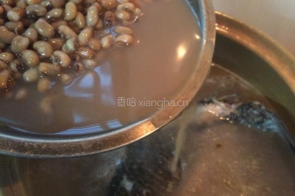 鲫鱼赤豆汤的做法图解5