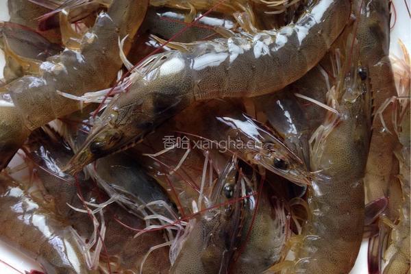蒜蓉粉丝开背虾的做法图解1