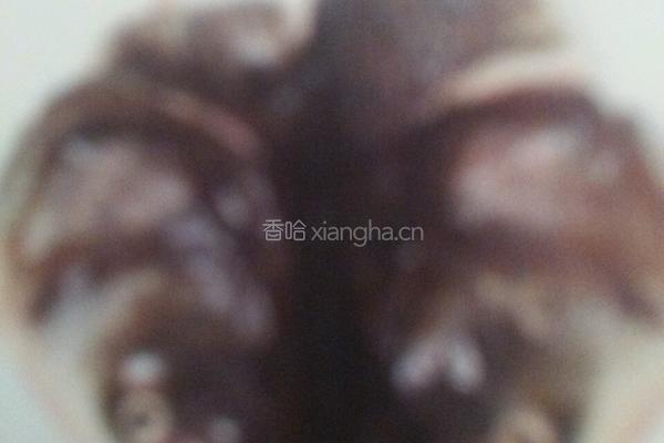 剁椒蒸鱼头的做法图解1