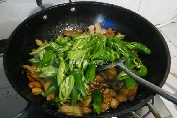 回锅肉的做法图解4