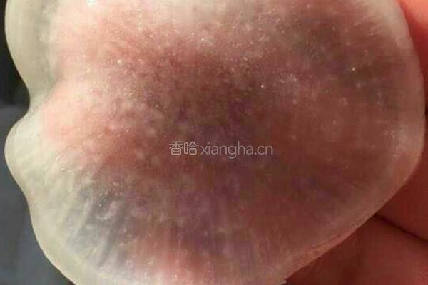 胭脂萝卜的做法图解6