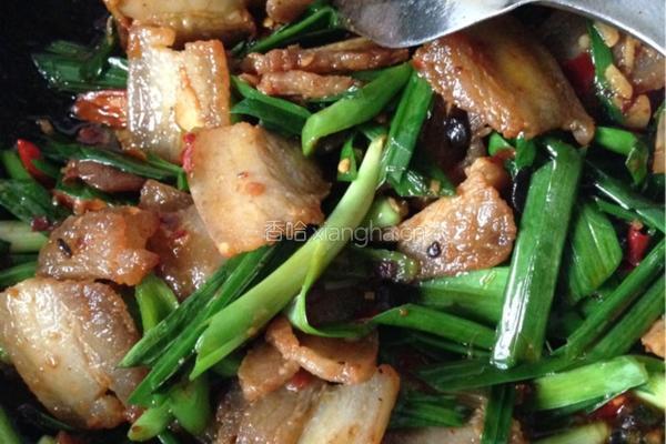 盐煎肉的做法图解14