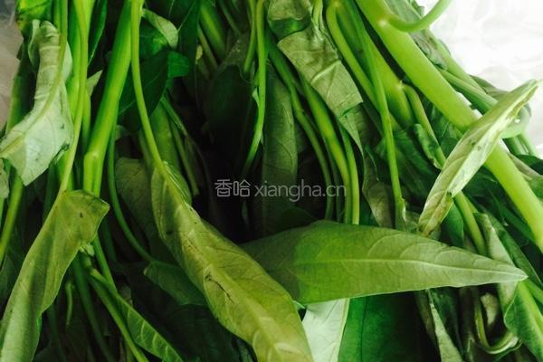 蒜香空心菜的做法图解1