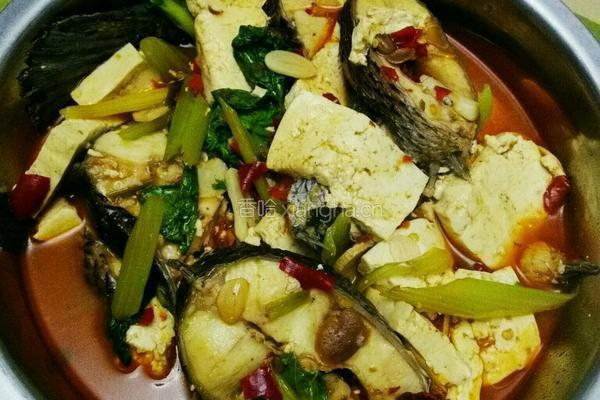 豆瓣酱烧鱼的做法图解4