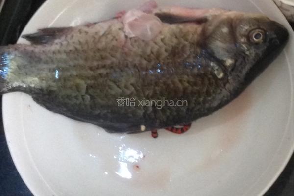 豆腐鲫鱼汤的做法图解2
