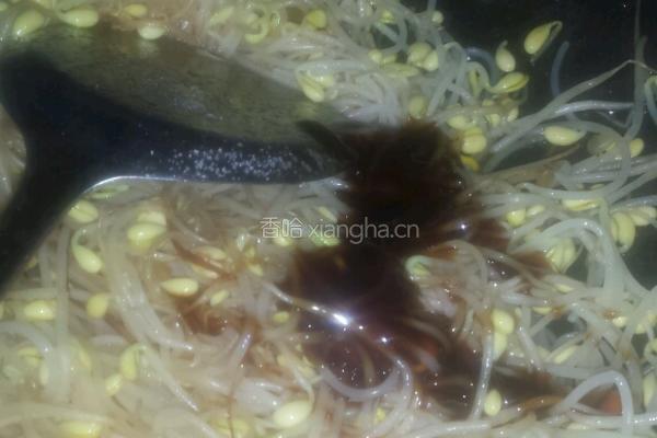 炒黄豆芽的做法图解4