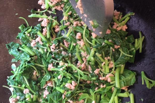 冬菜肉末炒苋菜的做法图解7