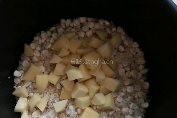 土豆焖饭的做法图解4
