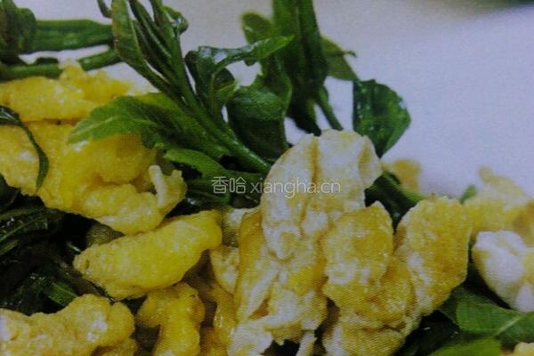 香椿炒鸡蛋